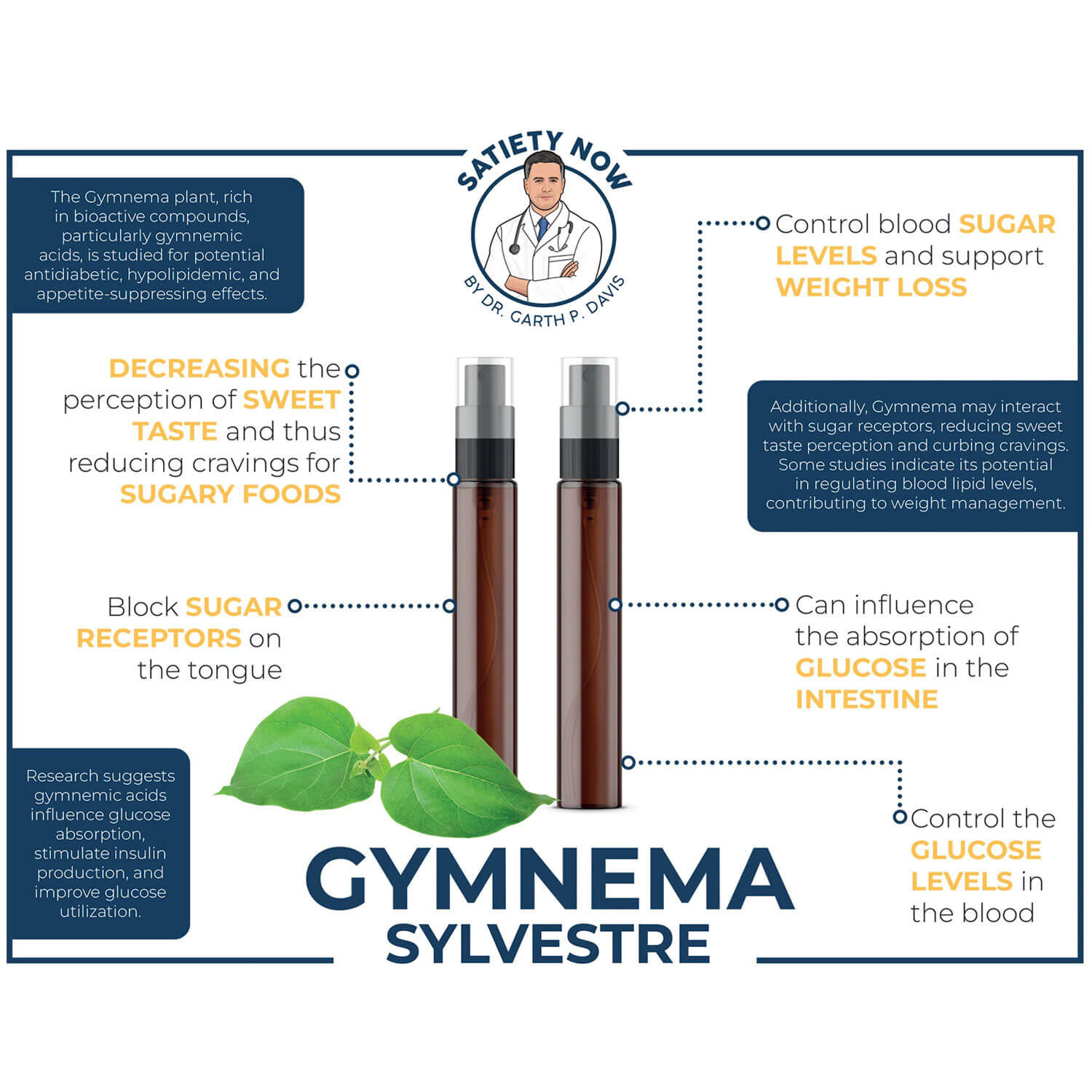 SATIETY NOW GYMNEMA TINCTURE