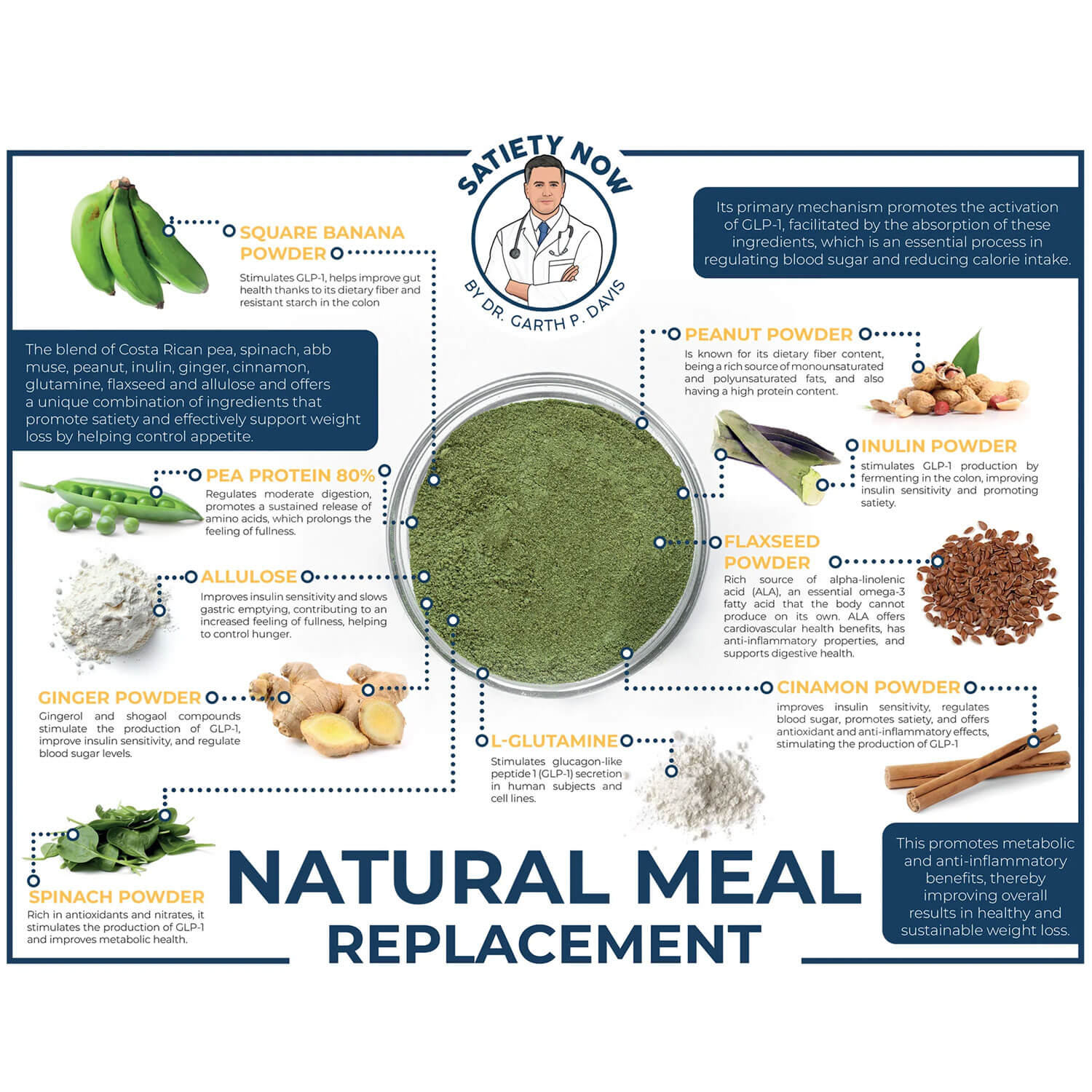 SATIETY NOW MEAL REPLACEMENT SHAKE